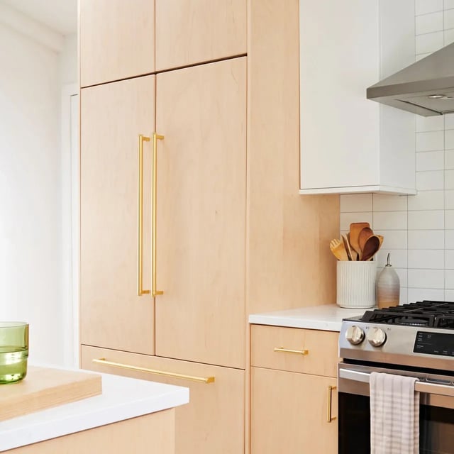 What is a Panel-Ready Fridge, Also Known as the Fridge That Looks Like Cabinets_